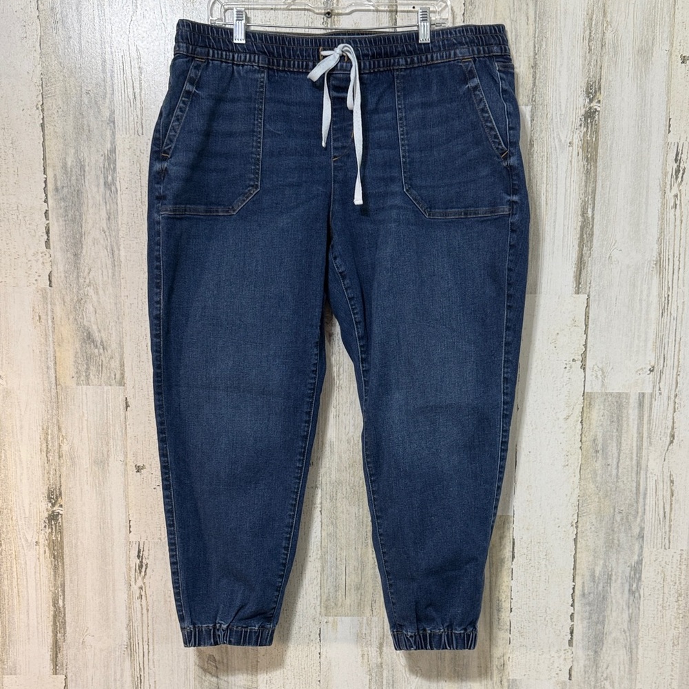 Lane Bryant Dark Blue Ankle Jeans